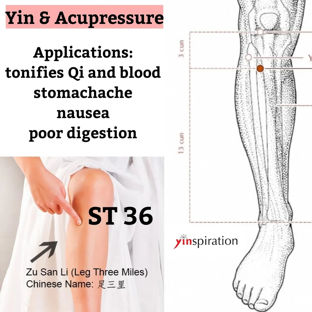 Zu San Li Le Point D Acupuncture Magique