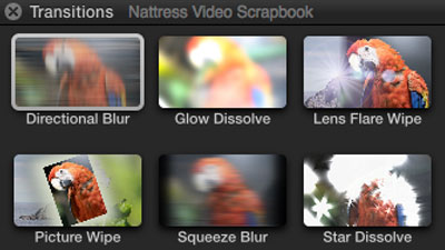 nattress_transitionoptions.jpg