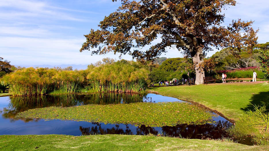 Kirstenbosch-National-Botanical-Garden-37047.jpg