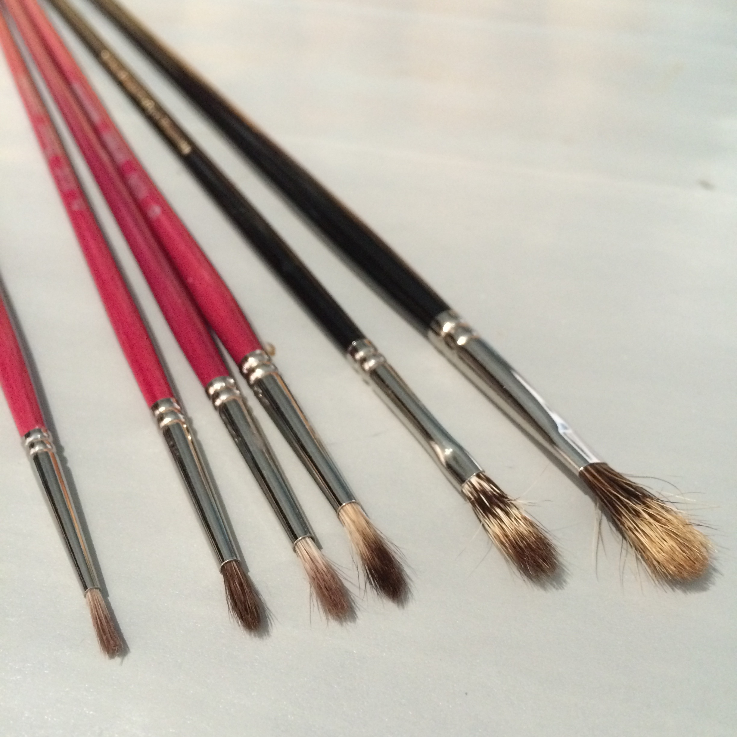 Rosemary & Co : Oil And Acrylic Brush Set Of 10