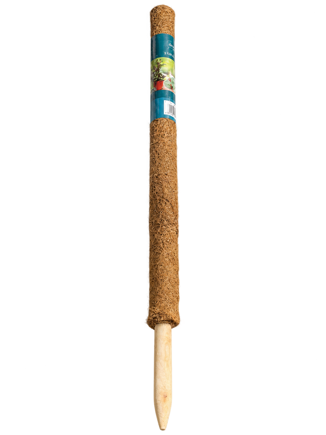 Austram Coco Pole with Teal Label-3.png
