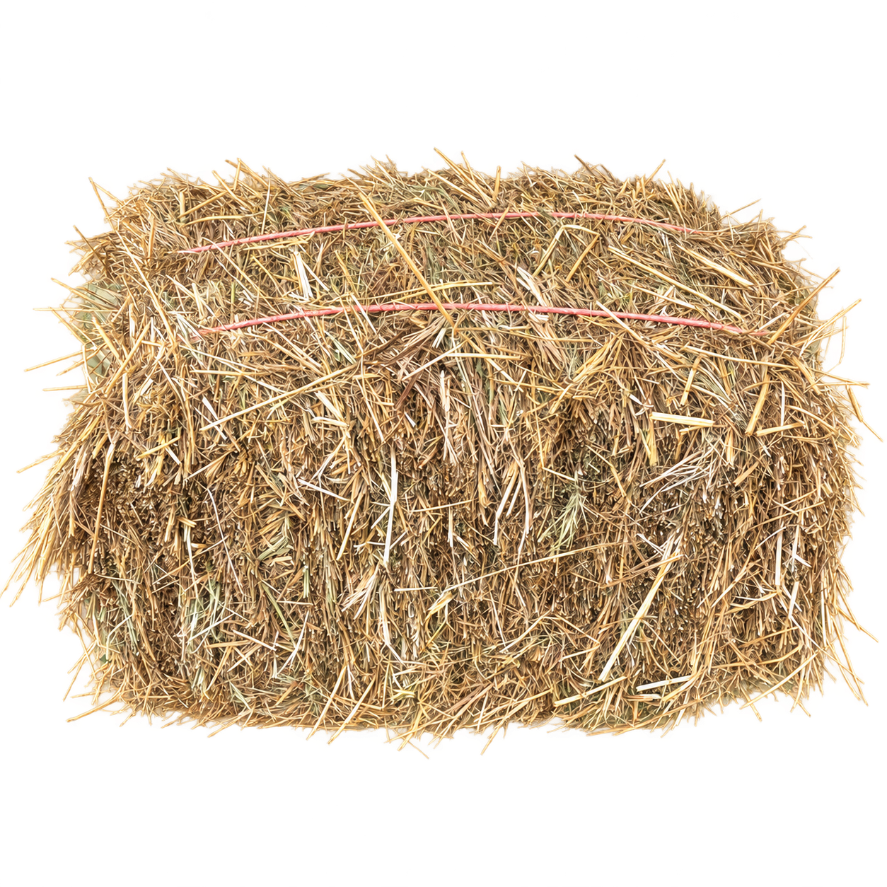 Centered garden product cutout-15.png