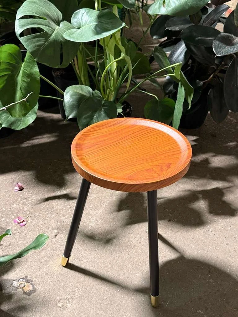 WhatsApp Image 2026-01-15 at 5.58.48 PM.jpeg