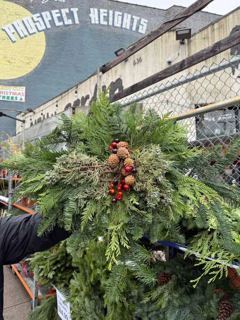 WhatsApp Image 2025-11-22 at 6.57.54 PM.jpeg