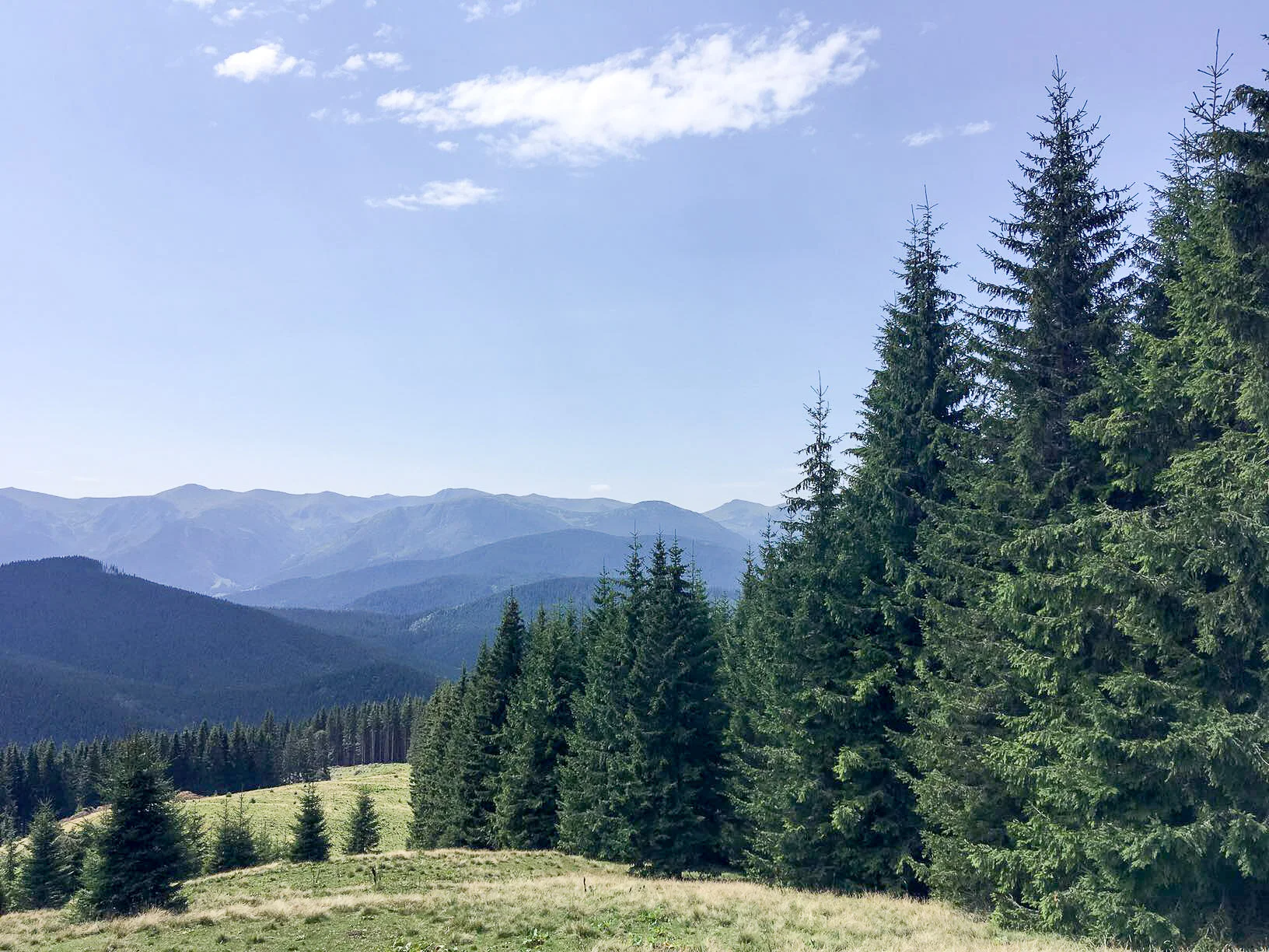 original_url: 6B0D3D10-9B5F-441A-8112-66F9011FB5C6
