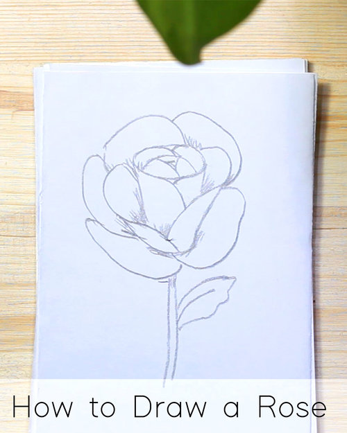 How To Draw Flowers Step By Step Tutorials For Beginners Jeyram Spiritual Art