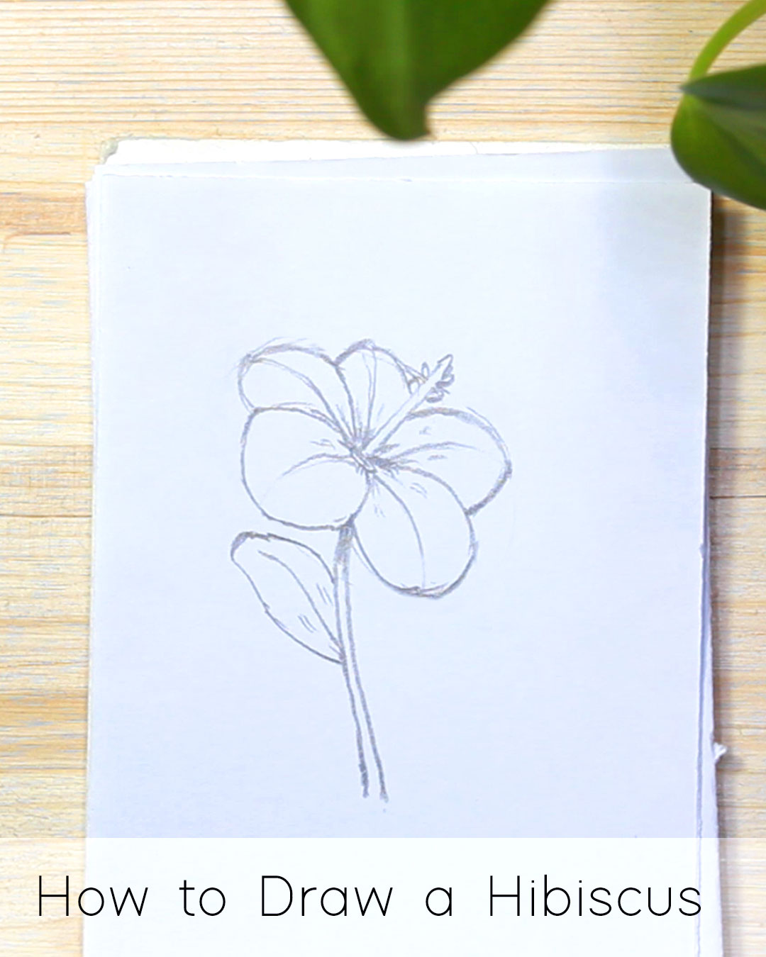 17+ Easy Spring Flower Drawings | Masha Plans-saigonsouth.com.vn