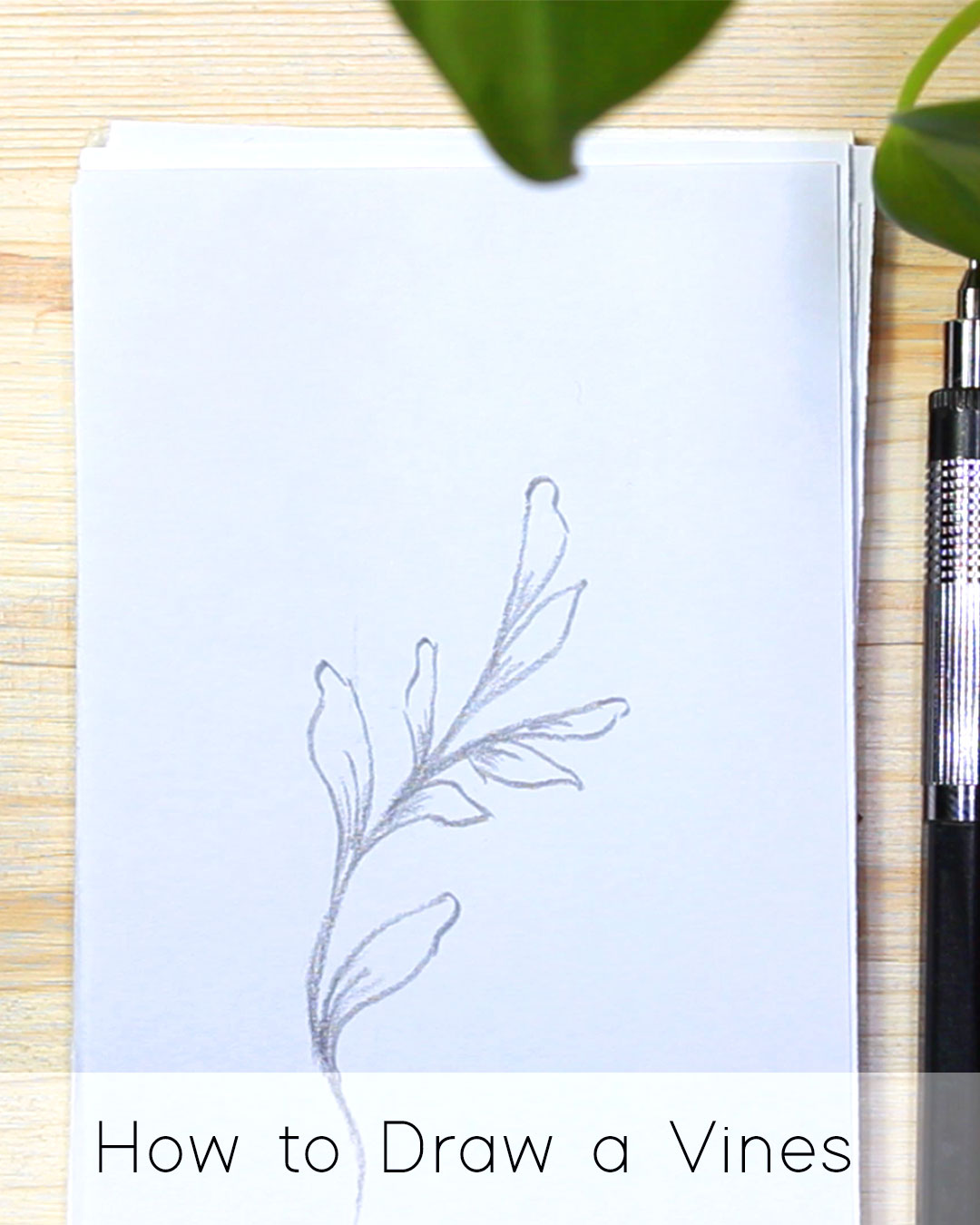 How to Draw Leaf Vines