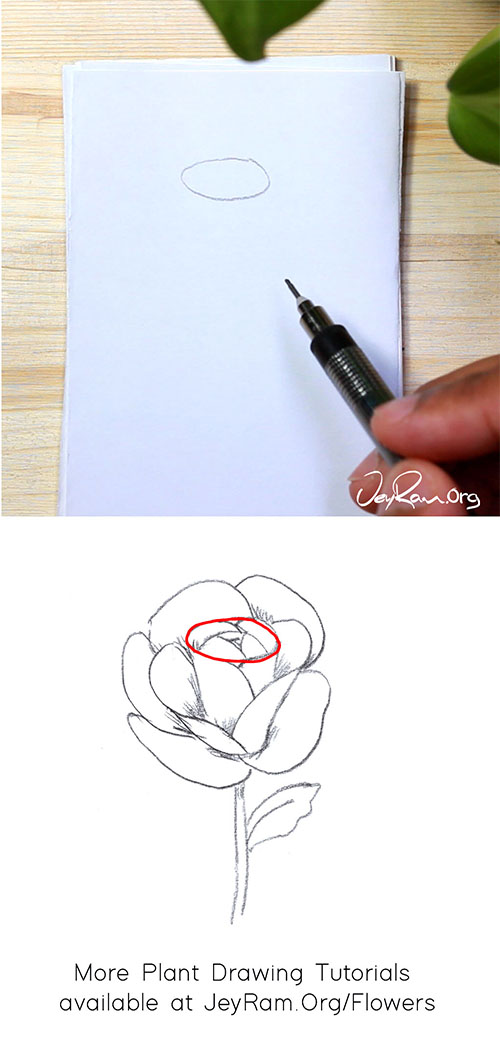 How To Draw A Rose Step By For