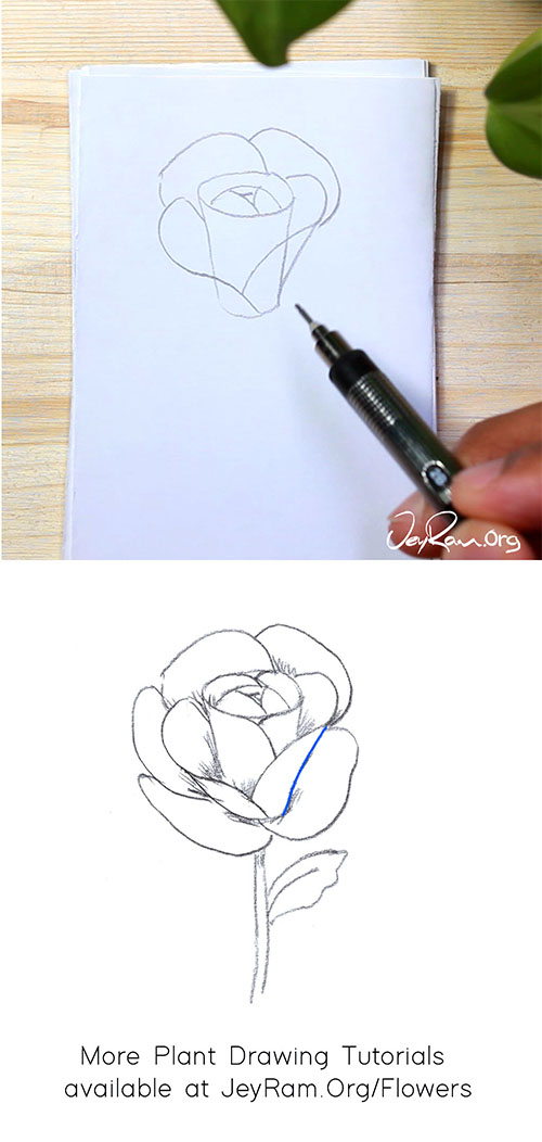 Blue jay in Markers Sketching Tutorial 