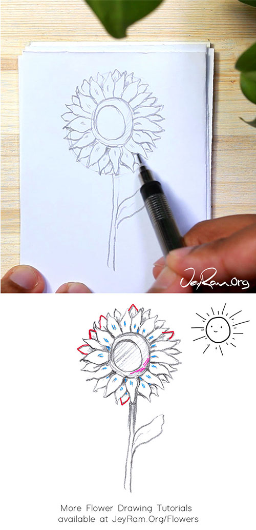 How To Draw A Sunflower Step By Step For Beginners Jeyram Art