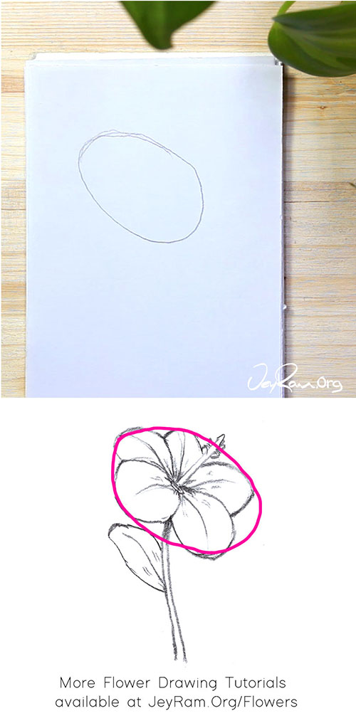 argument dagbog Hotel How to Draw a Hibiscus : Step by Step for Beginners - JeyRam Spiritual Art