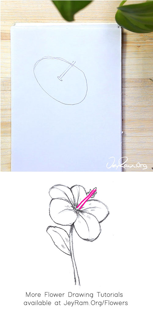 How To Draw A Hibiscus Step By
