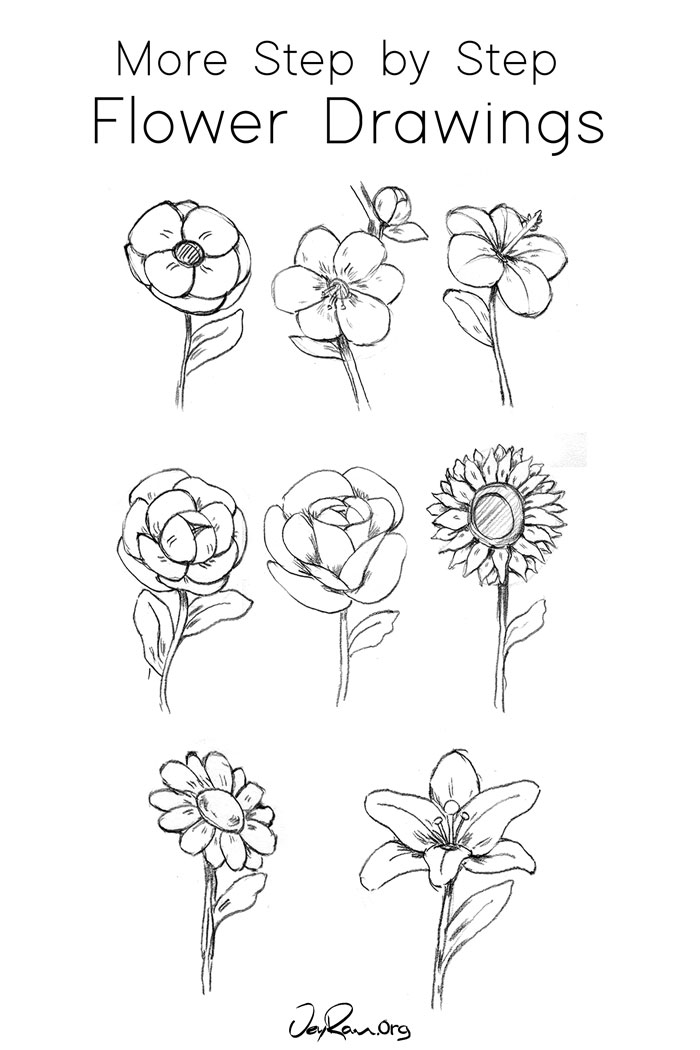 How To Draw A Poppy Step By For