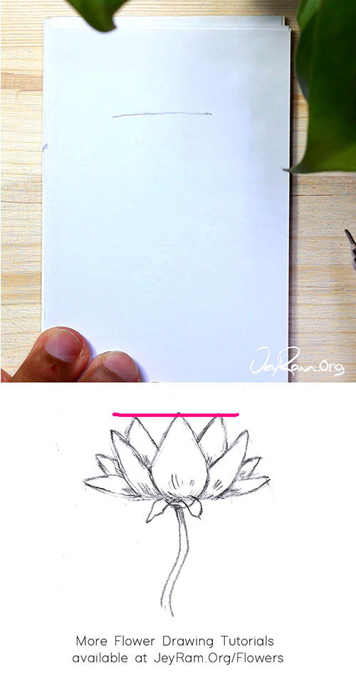 How To Draw A Lotus : Step By Step - Jeyram Drawing Tutorials