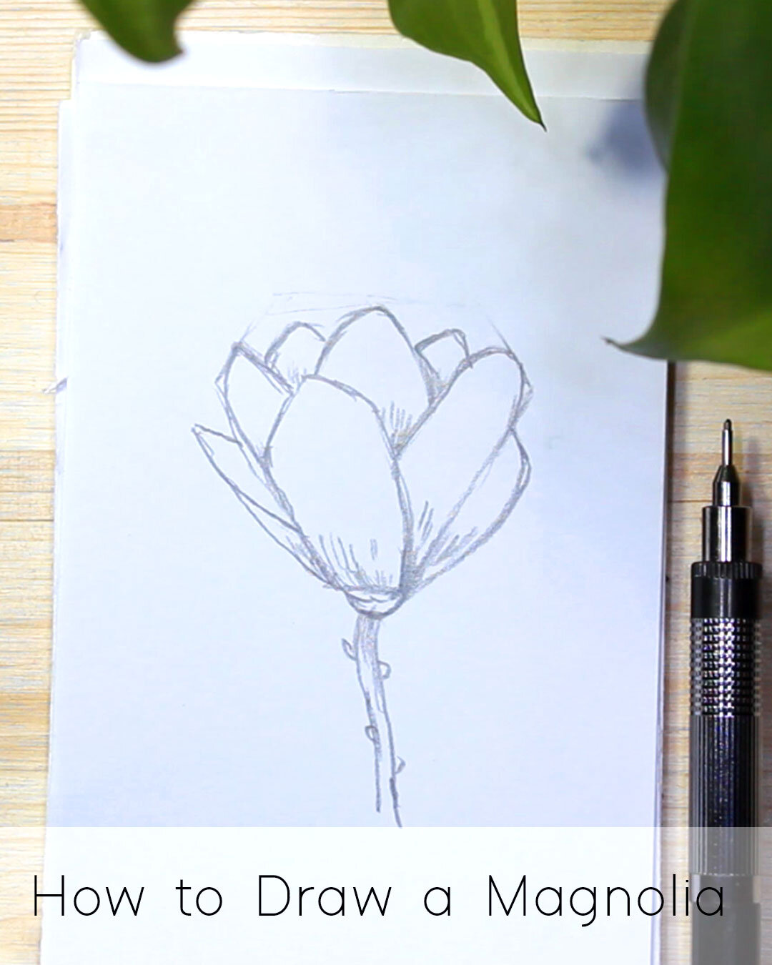 How To Draw Easy Flowers, Step by Step, Drawing Guide, by Dawn - DragoArt-saigonsouth.com.vn