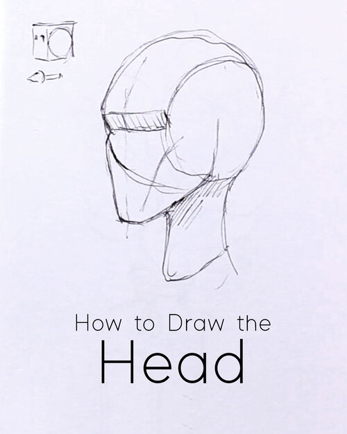 Drawing Lessons for Beginners 