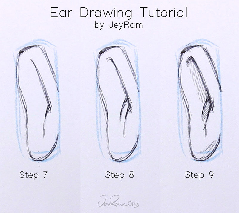 Featured image of post How To Draw Ears Front View 3 different ways narrated tu