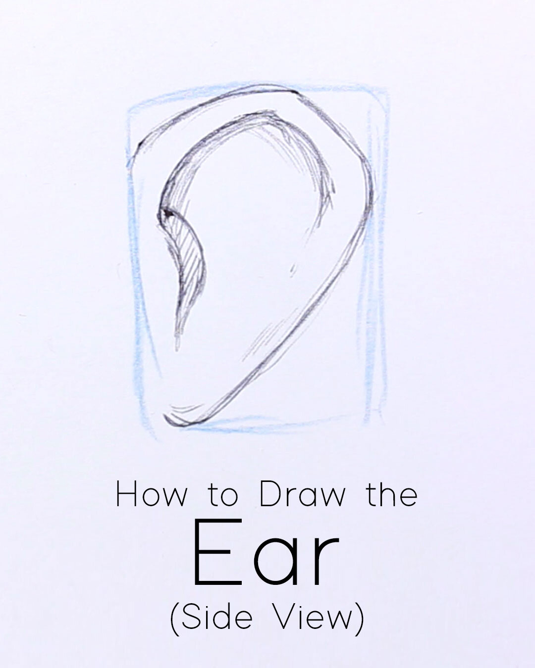 How to Draw an Ear from the Side