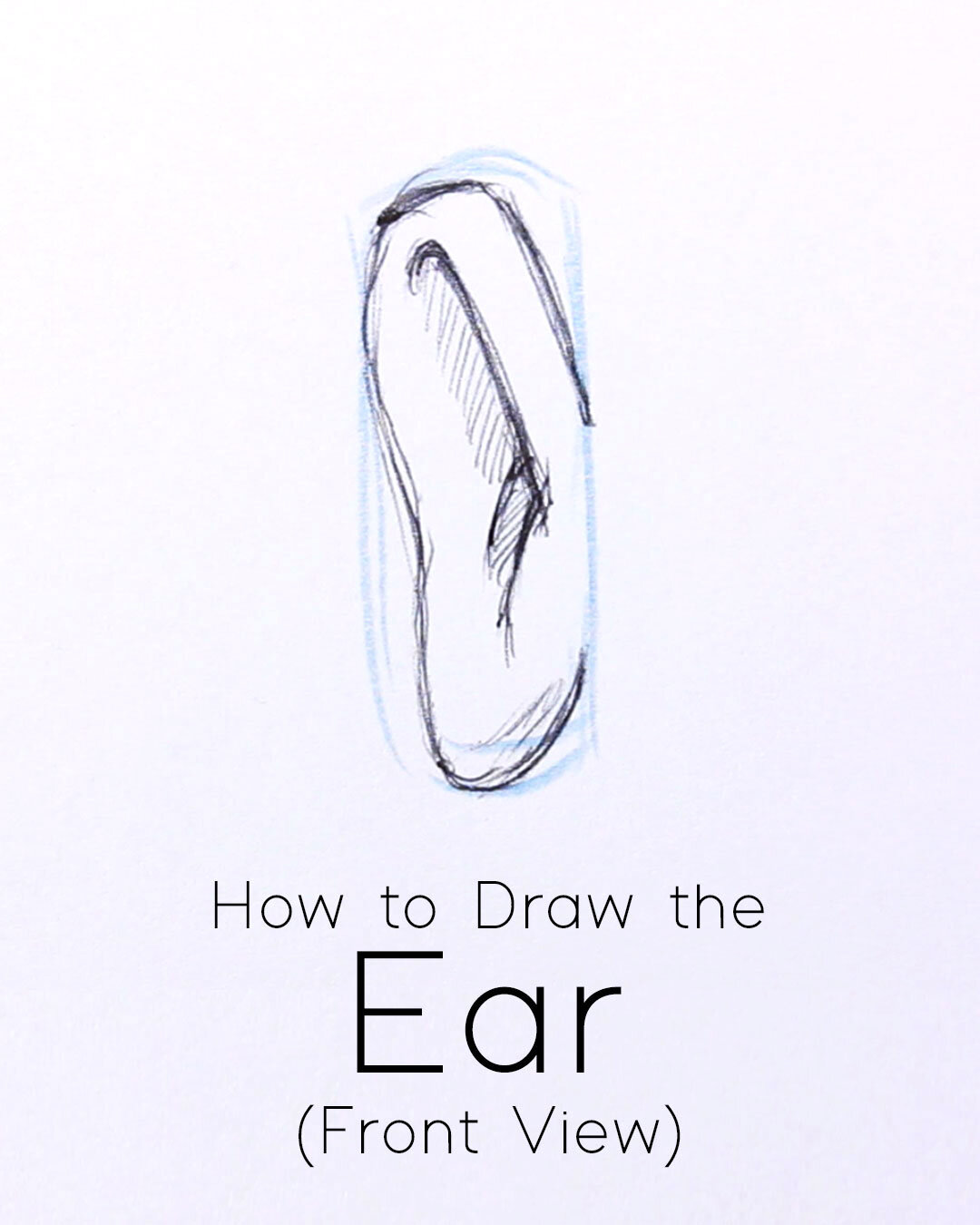 How to Draw the Ear from Front View