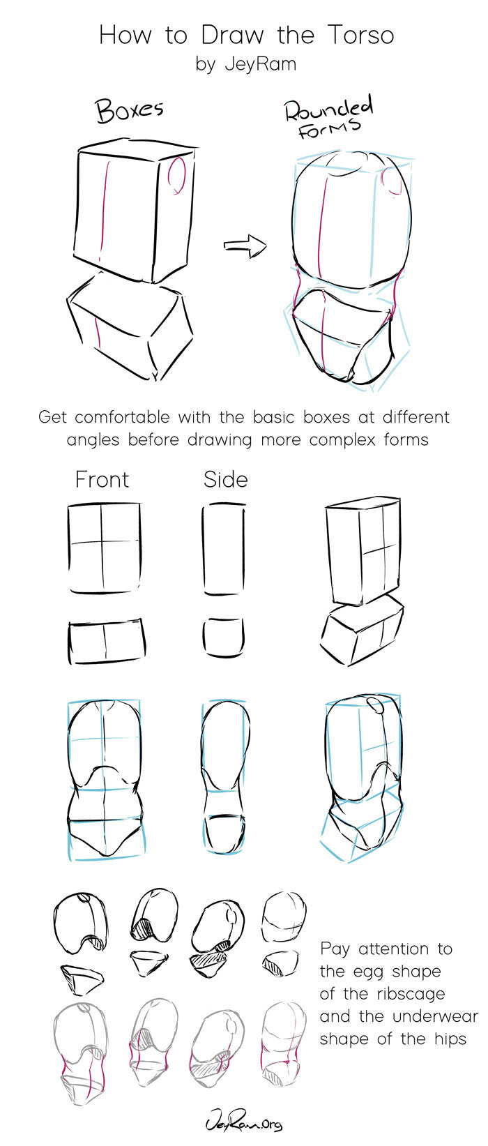 How To Draw The Torso: Step By Step Tutorial + Free Practice Worksheet  (Printable) - Jeyram Spiritual Art