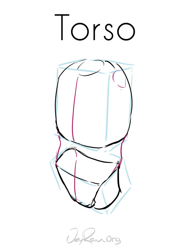 How to Draw the Torso: Art Tutorial by JeyRam #art #drawing #tutorial