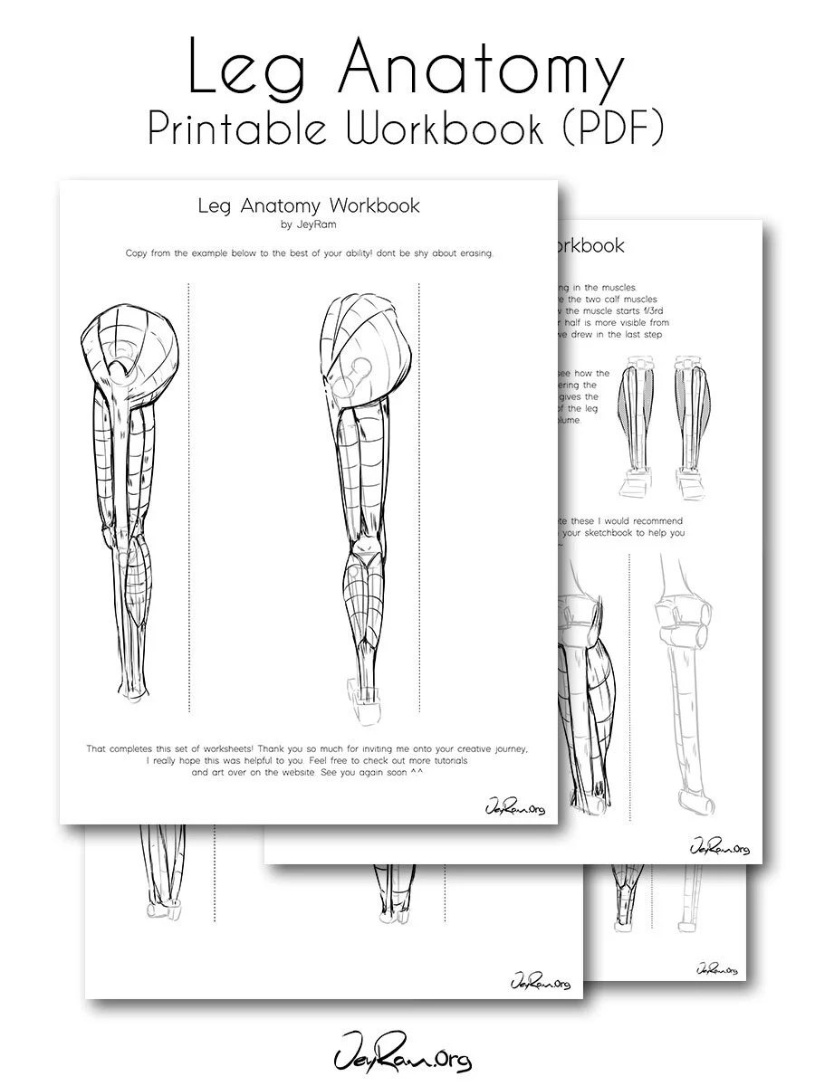 How to Draw the Anatomy of the Leg by JeyRam #art #drawing #anatomy #tutorial