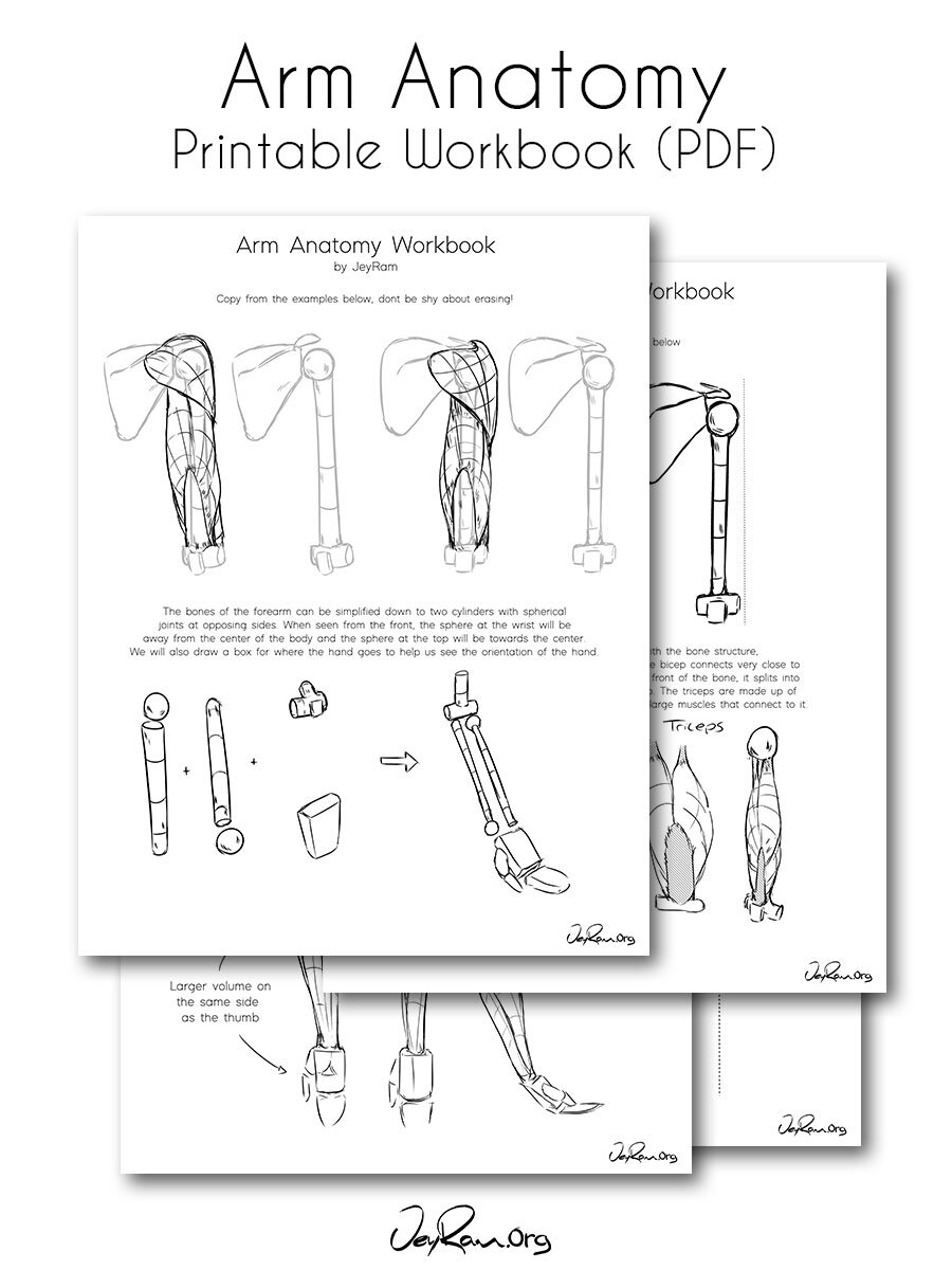 Download Arm Anatomy Workbook Pdf Jeyram Spiritual Art