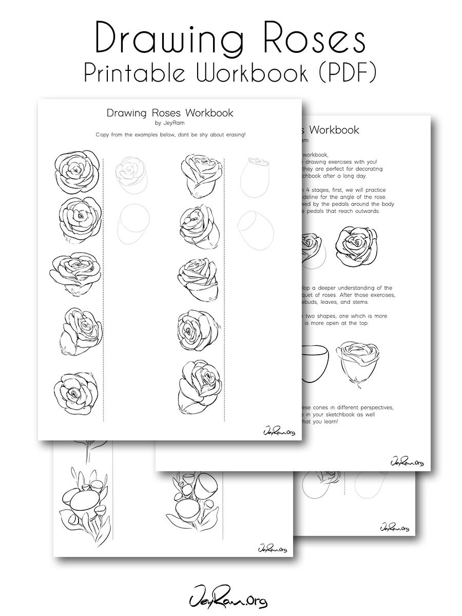 How to Draw Roses  An Easy and Complete Step-by-Step Drawing Demo
