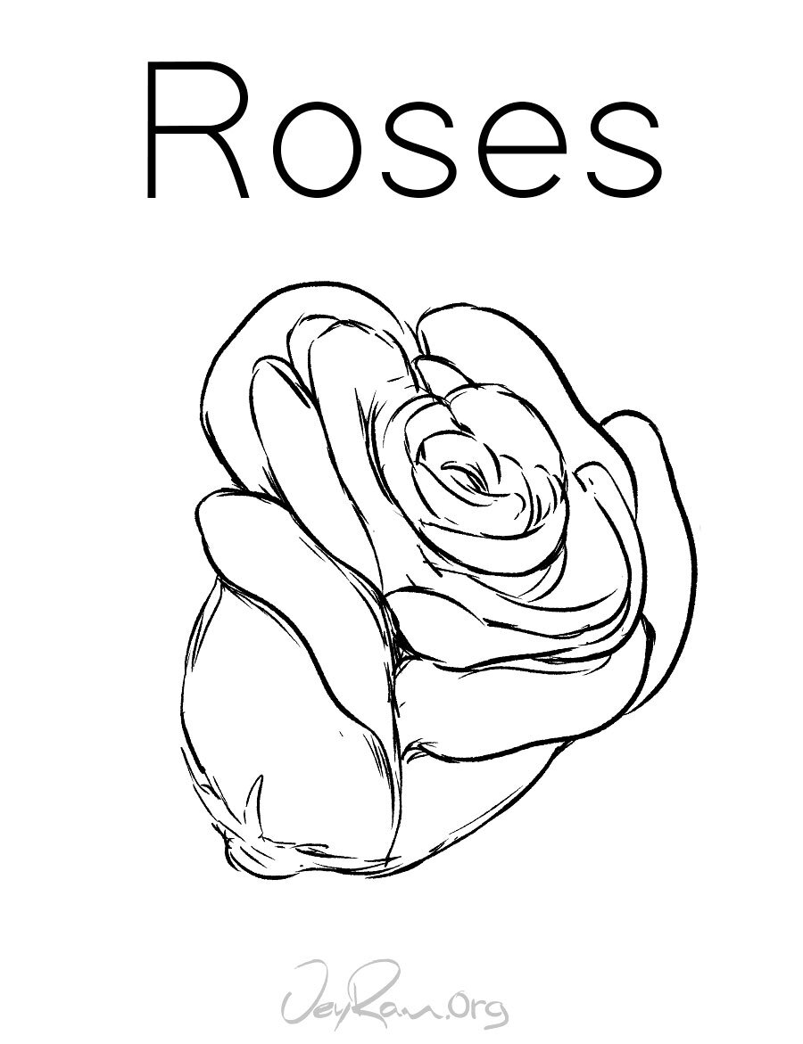 Featured image of post How To Draw A Flower Step By Step Easy For Beginners : Complete the cactus flower by coloring it.