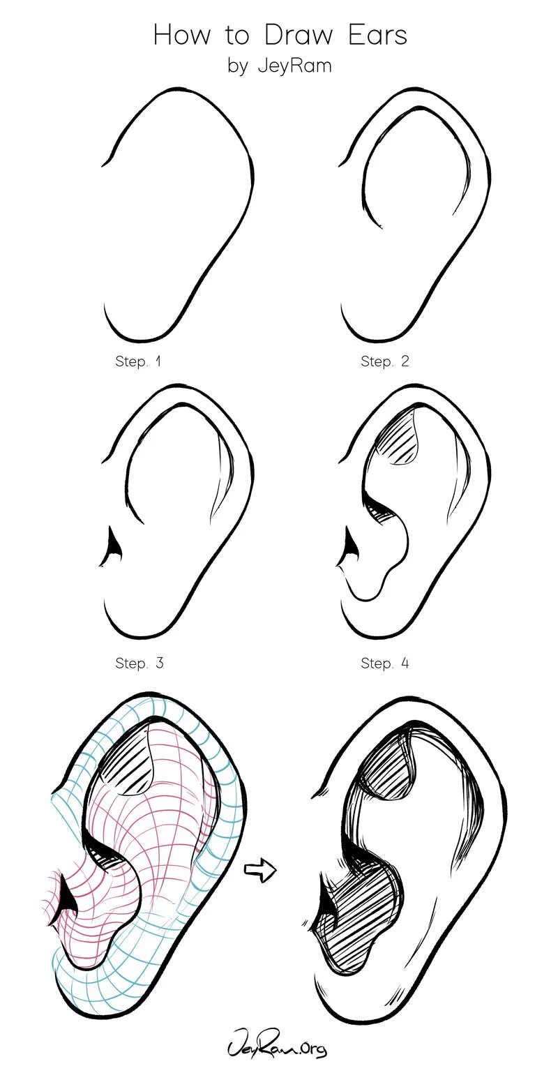 Ear Drawing Tutorial Ear Drawing Tutorial