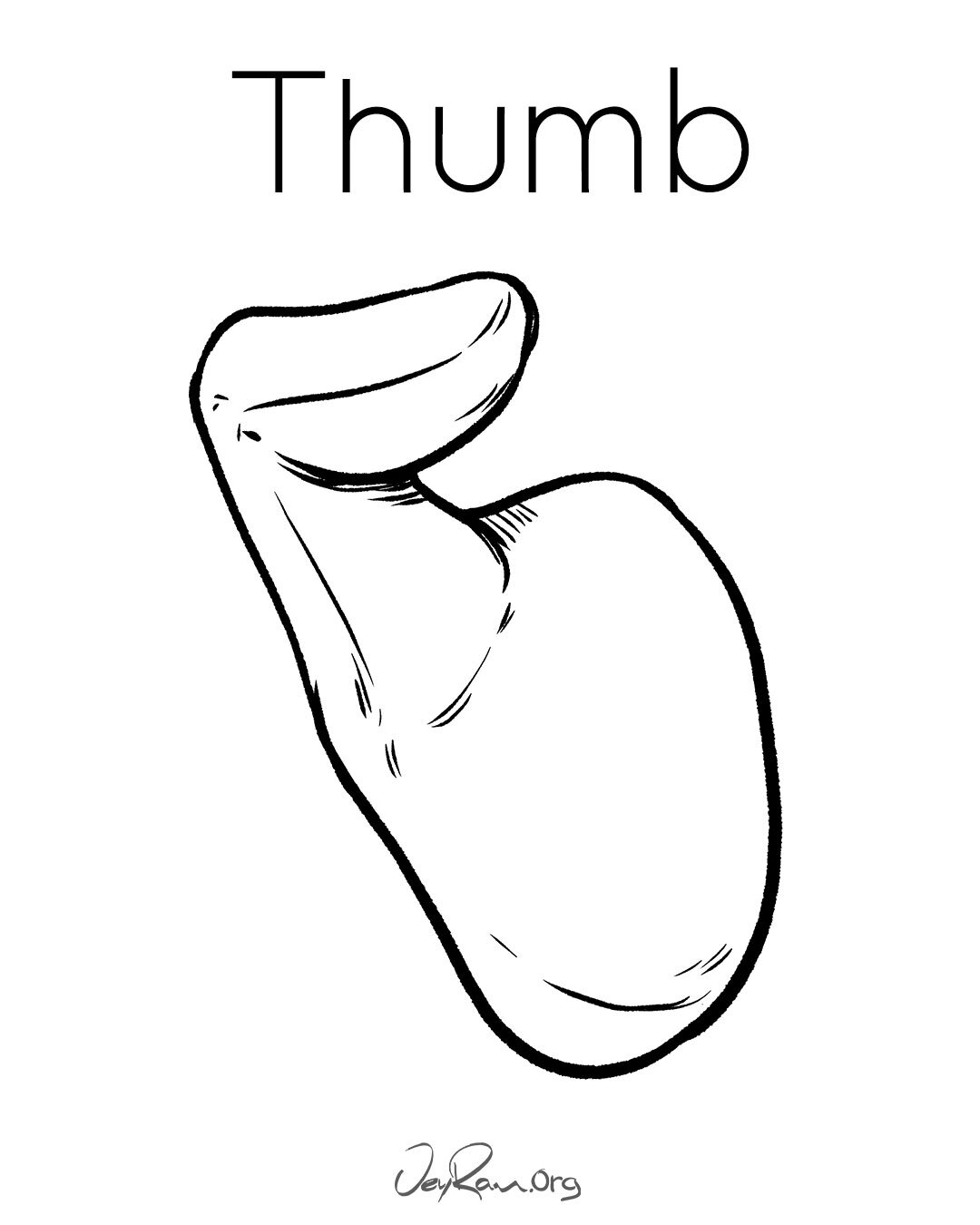 How to Draw the Thumb