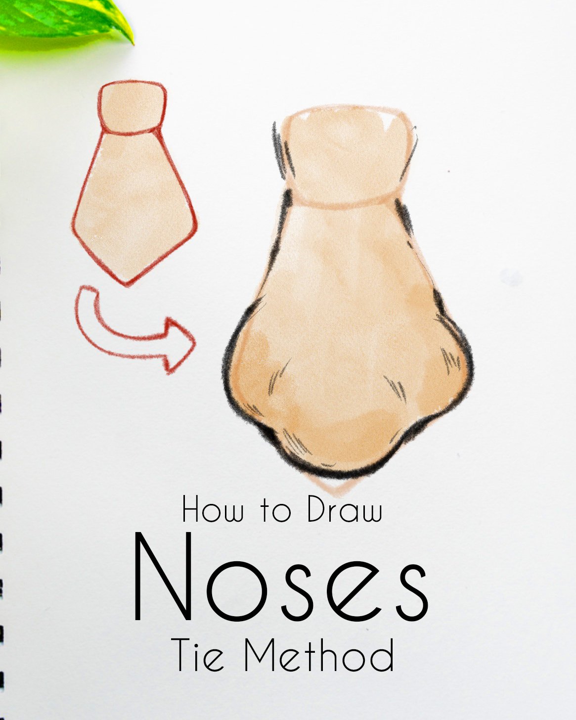 How to Draw Noses Tie Method