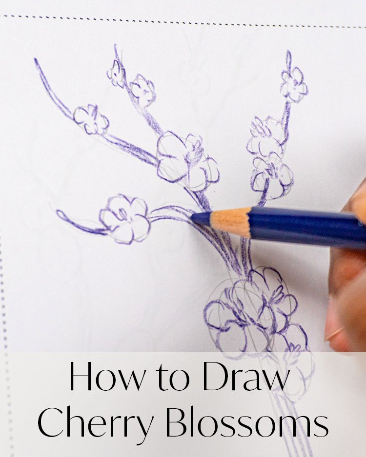 How to Draw Cherry Blossoms Step by Step Tutorial