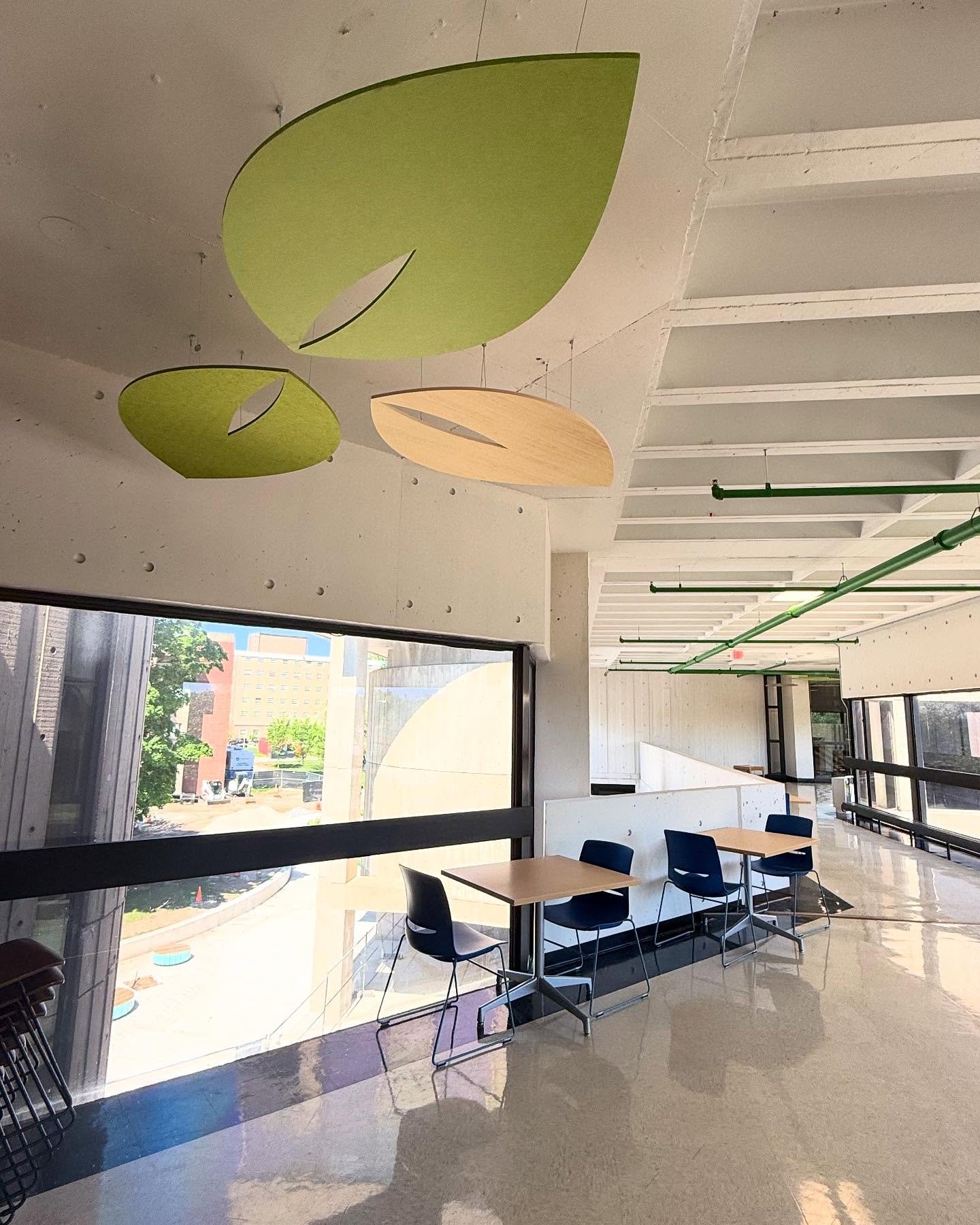 Some more greenery for south campus 🌱

@csicreative 
@kifurniture 
@benjaminmoore 
@stacysawyerdesigner 
@umasslowell 
#UMLinteriordesign