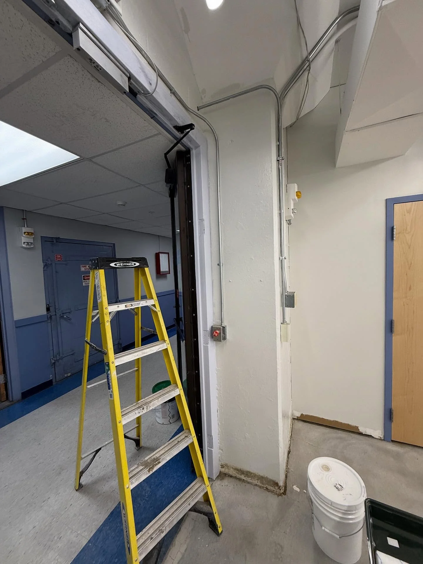 Life in Plastics is Fantastic! Transforming Ball hall floor by floor. Plastics Engineering&rsquo;s recycling lab just got a major upgrade with fresh graphics and branding. I ran with this idea, and I&rsquo;m thrilled it worked out. Check out the Plas