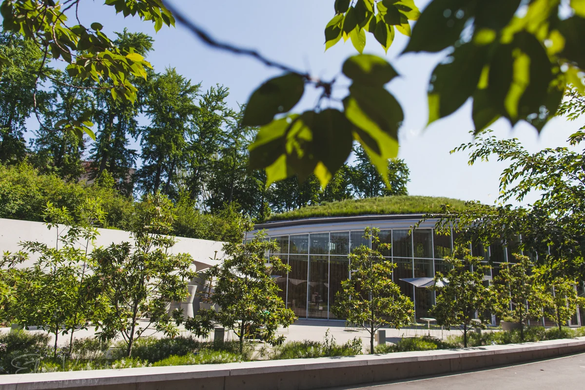 Kevin-Diana-Brooklyn-Botanic-Garden-Wedding-The-Atrium-Photography-8.jpg