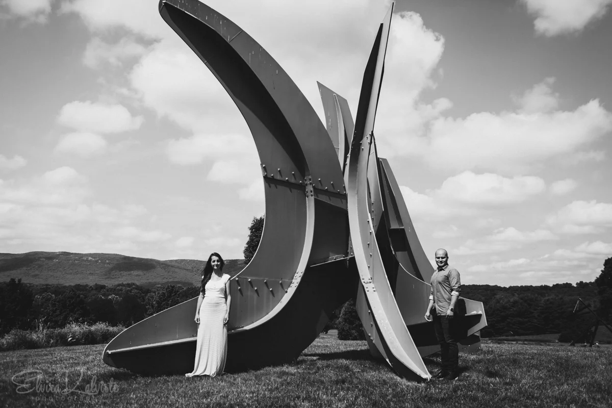 Dia-Beacon-Engagement-Photos-New-York--7.jpg