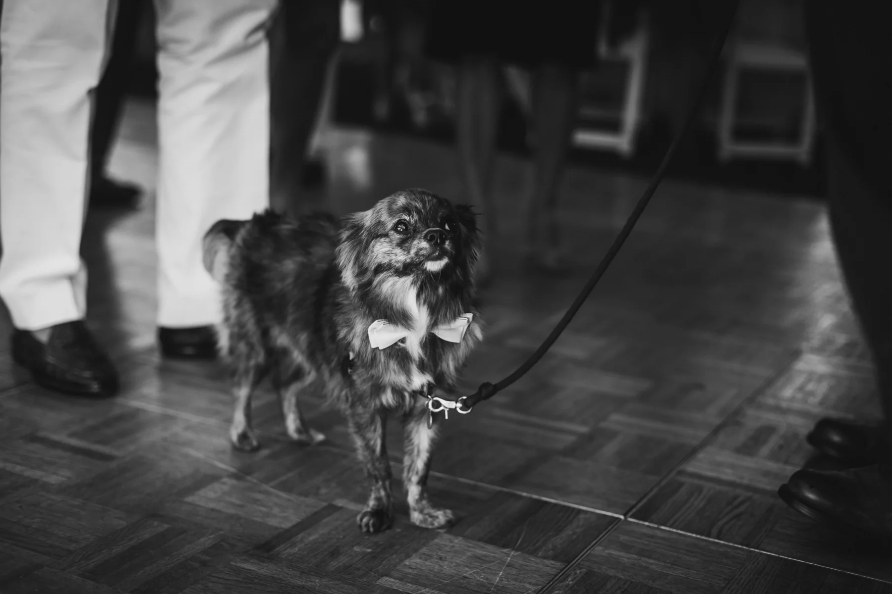 Long-Island-Documentary-Wedding-Photography-Summer-Tent-Wedding-in-New-York-84.jpg