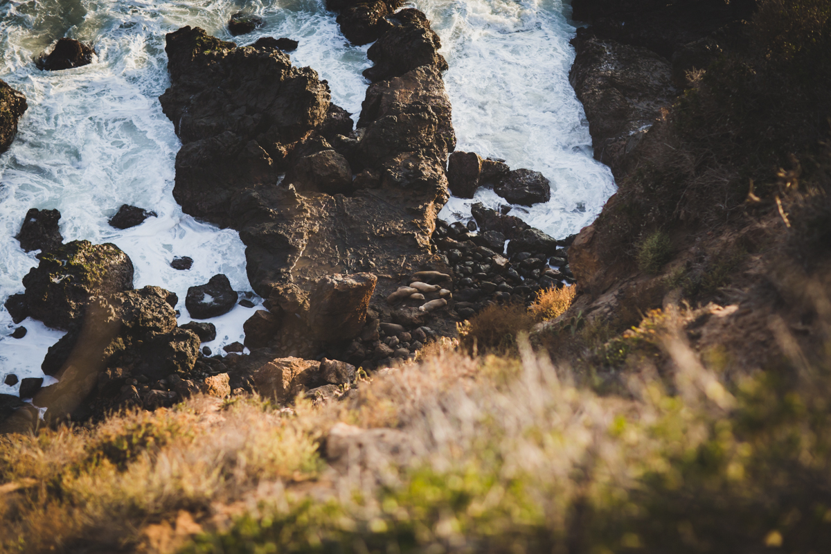 Malibu-Engagement-Photography-Los-Angeles-Wedding-Photographer-13.jpg