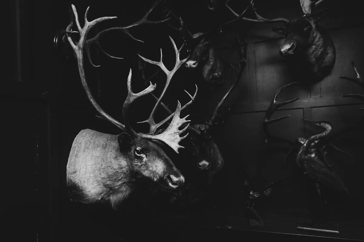 Freemans-Restaurant-Hotel-Indigo-Intimate-Wedding-New-York-Documentary-Wedding-Photography-59.jpg
