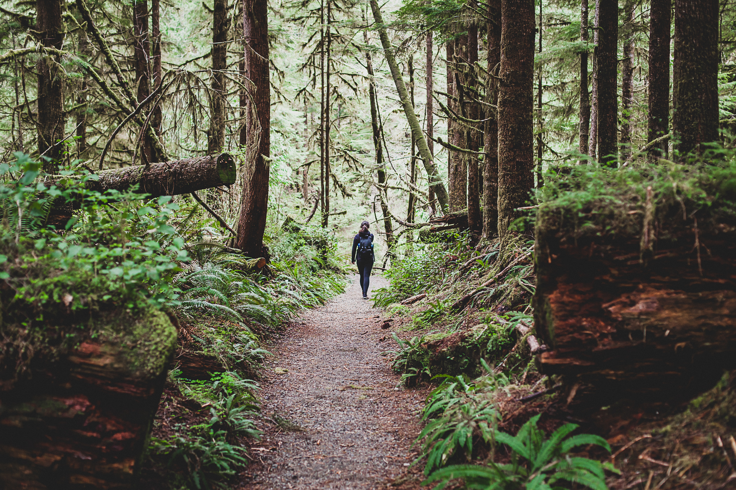 Pacific-North-West-California-Oregon-Road-Trip-Travel-Portrait-Wedding-Destination-Photographer-85.jpg