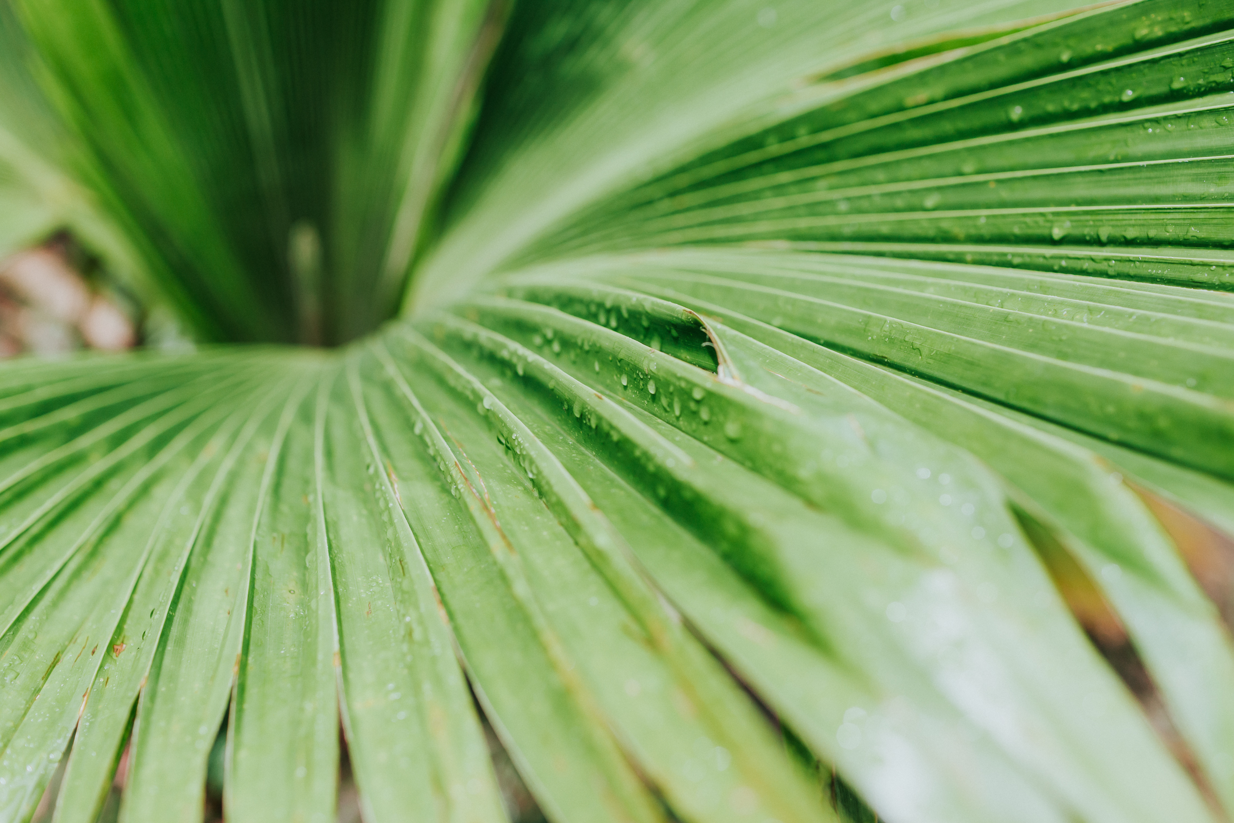 It was raining one second and then would be sunny the next! Be prepared to have a rain coat or something to protect you from unexpected downpours especially if you travel between November and March;)