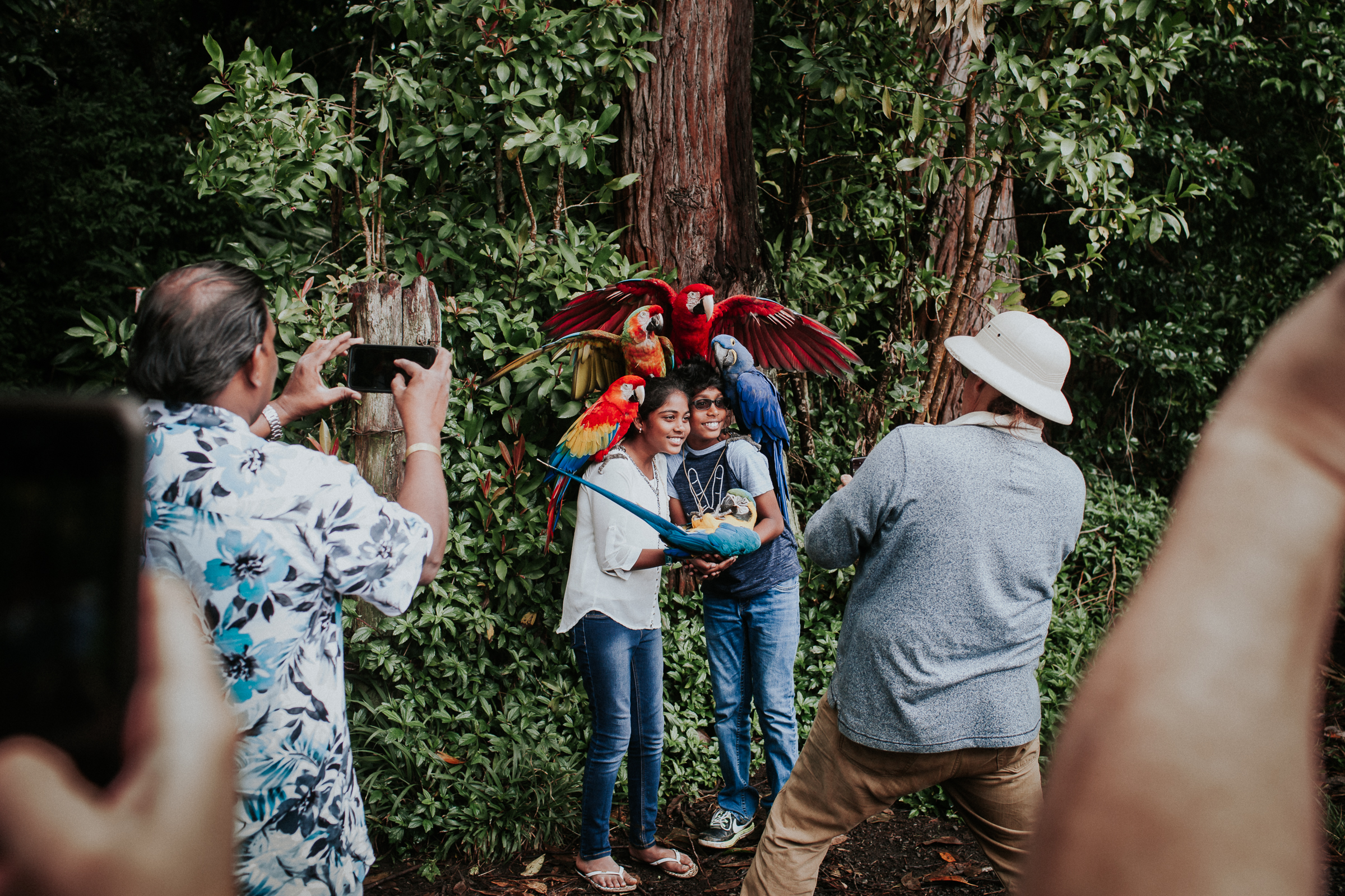 Maui2018SmallRes-35.jpg