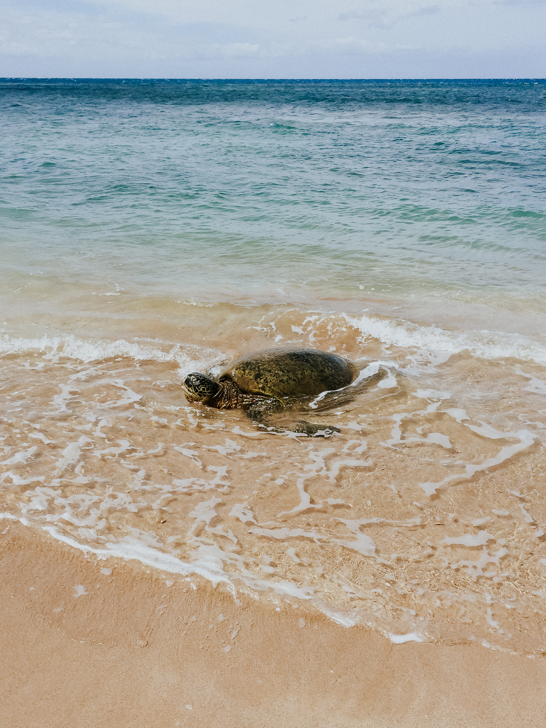 Maui-Hawaii-Travel-Adventure-Destination-Wedding-Photographer-9.jpg