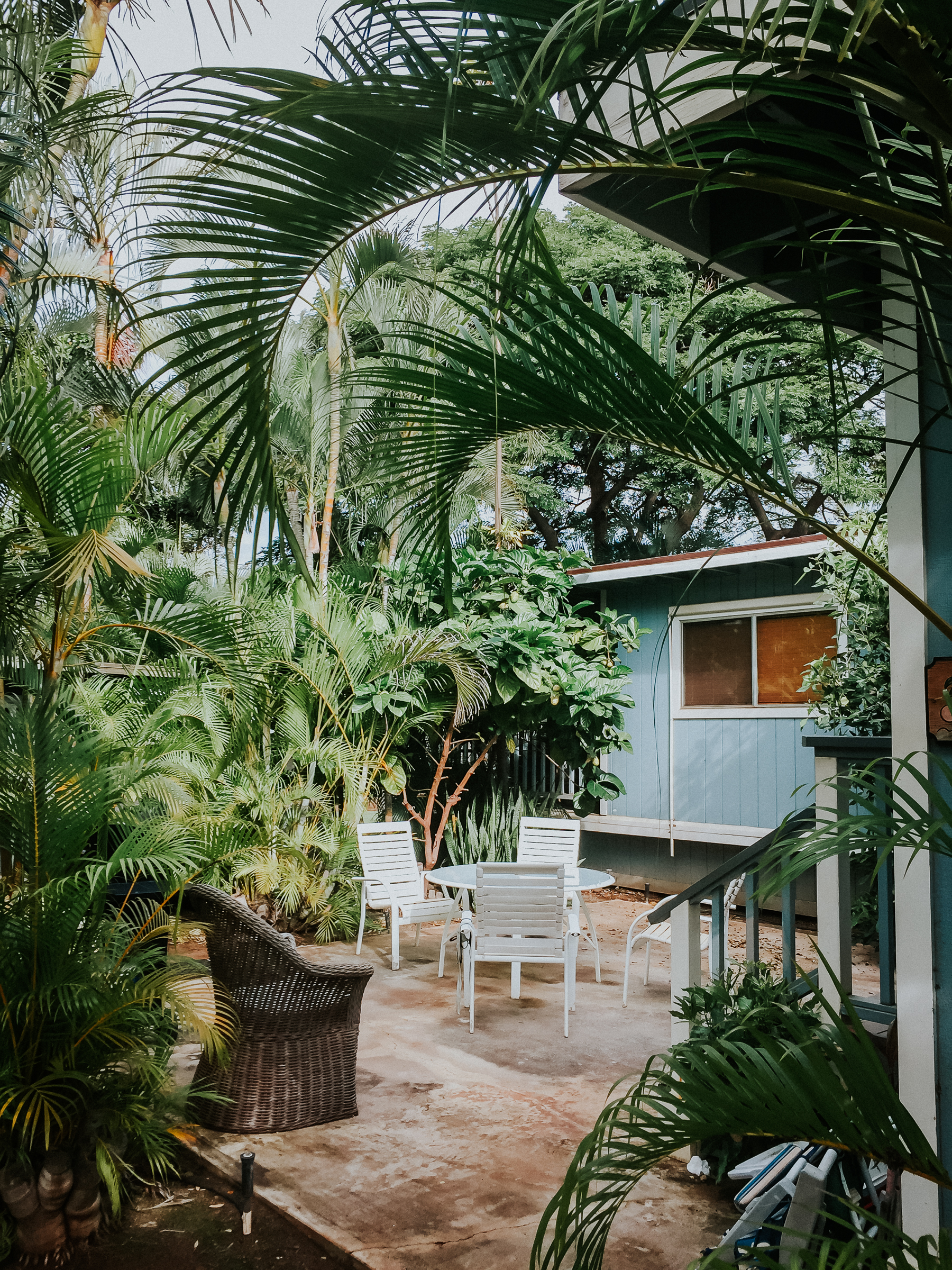 The next day we arrived in our second home away from home Kihei. This place was cute and conveniently a block away from the beach.
