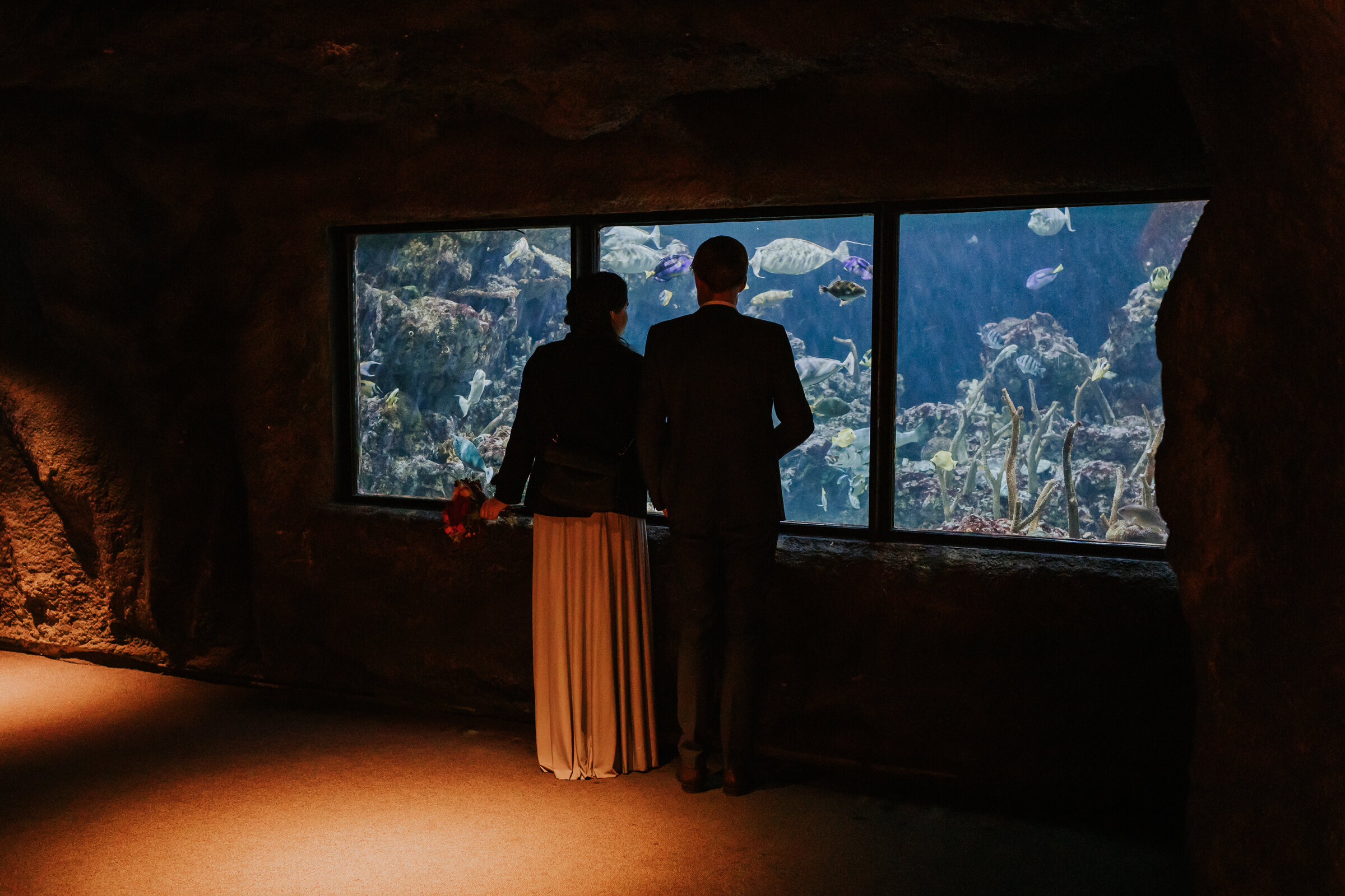 Seattle-Aquarium-Documentary-Wedding-Photographer-71.jpg