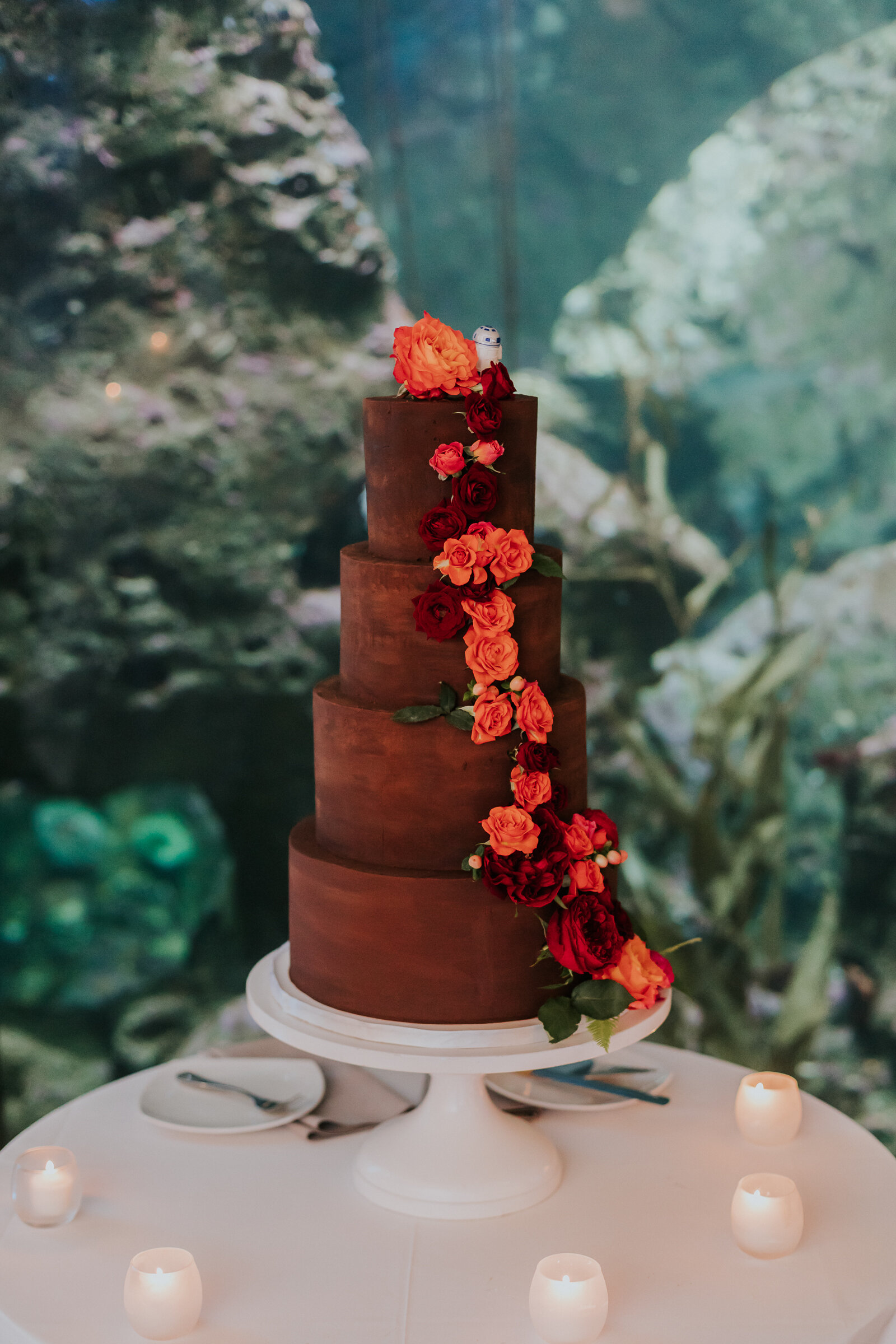 Seattle-Aquarium-Documentary-Wedding-Photographer-79.jpg