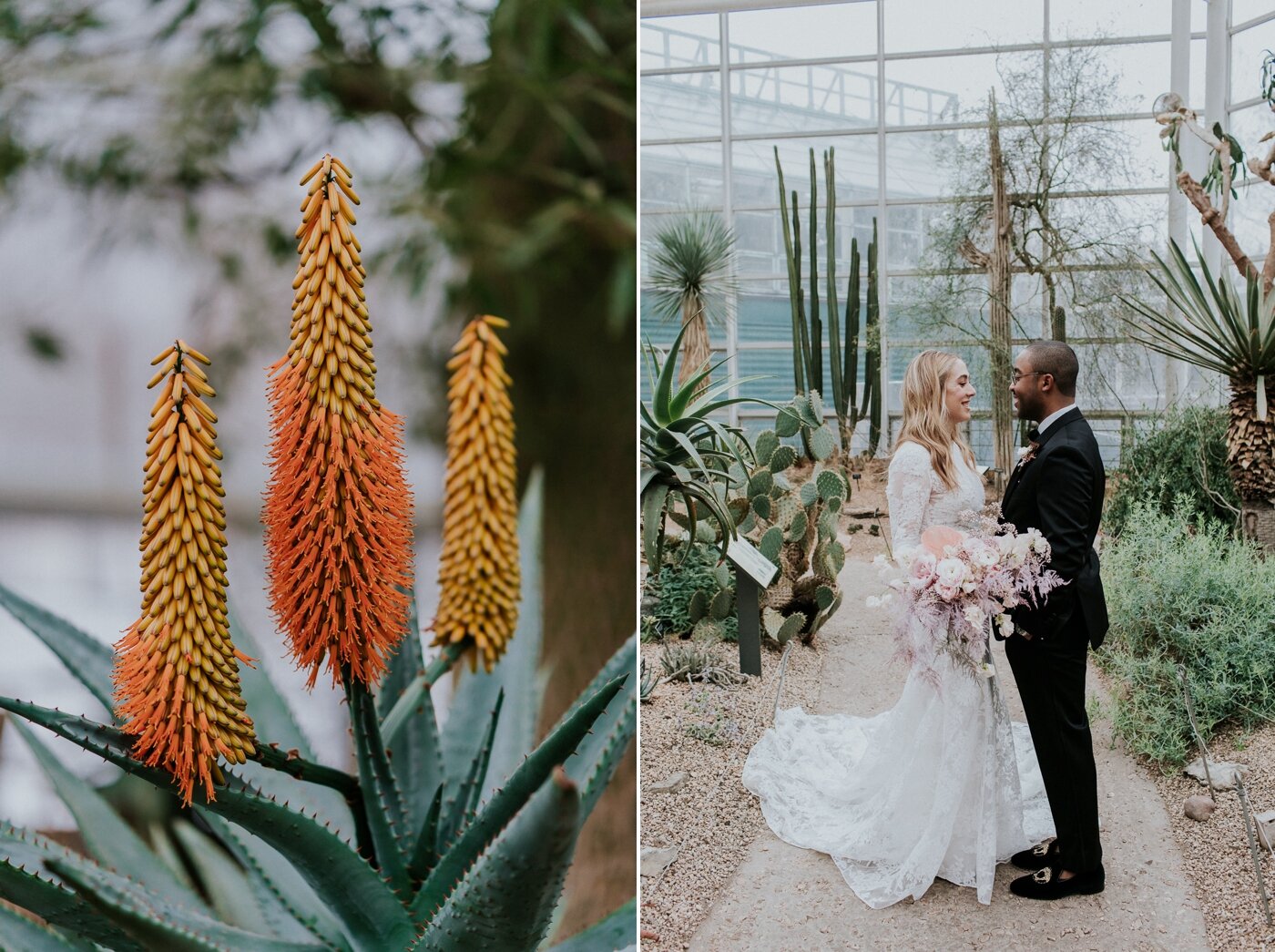 Winter-Brooklyn-Botanic-Garden-Greek-Wedding-NYC-Documentary-Wedding-Photographer-132.jpg