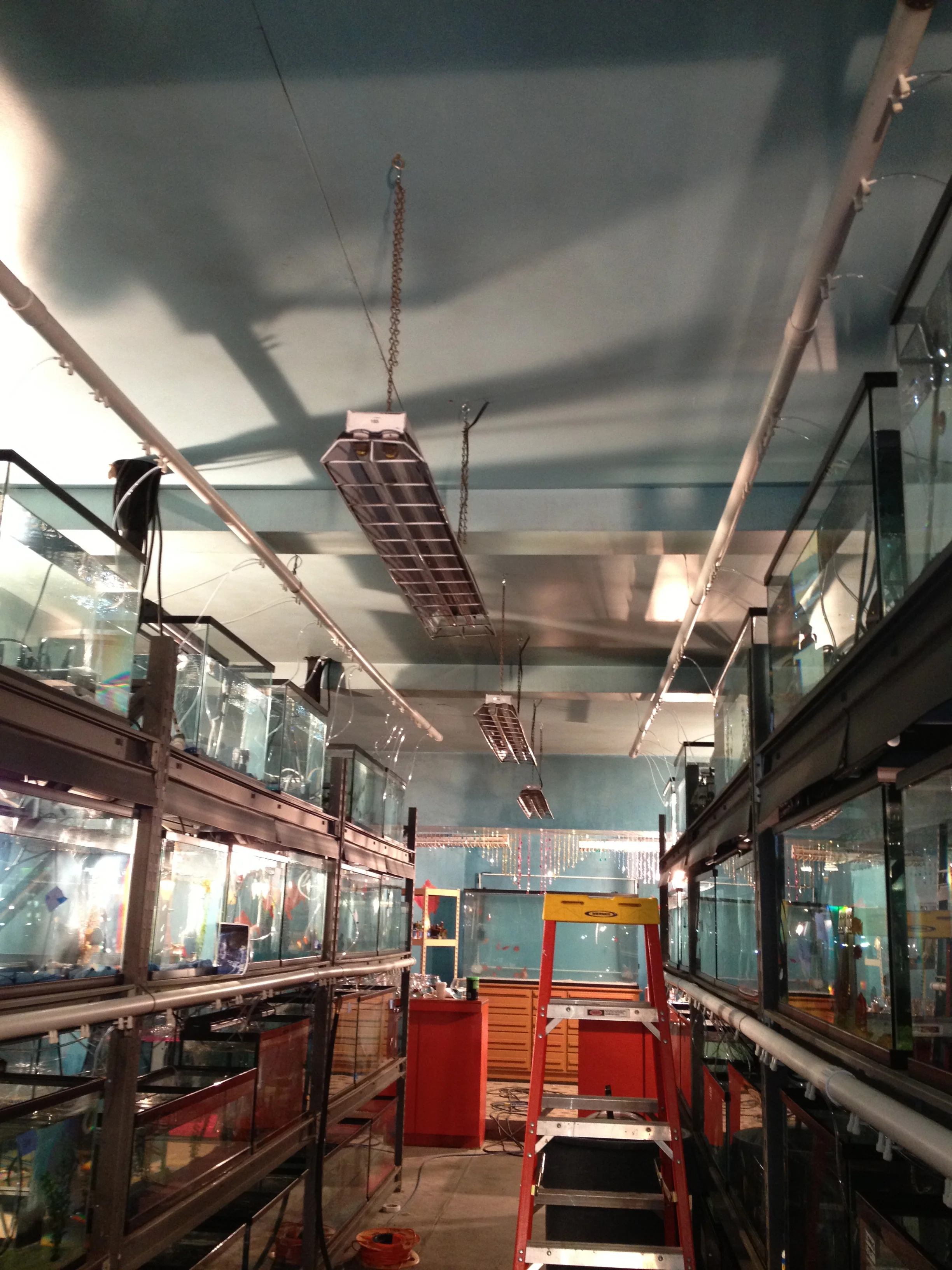 Ting Ting's Aquarium - SFX Shoot Out